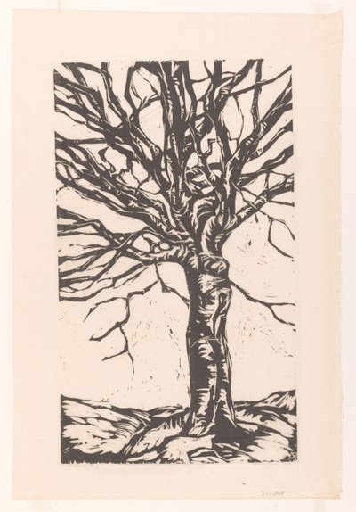 Lehtikaali puomi tekijältä Arnold Pijpers (signed by artist)