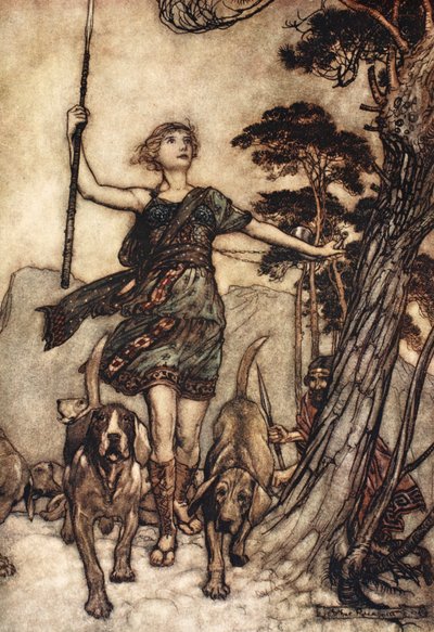 Me, kaunis kuningatar, ylös vuoren huipulle, ja merkitsemme koirien musiikillista hämmennystä ja kaikua yhdessä, kuvitus William Shakespearen "Kesäyön unelmasta" tekijältä Arthur (after) Rackham