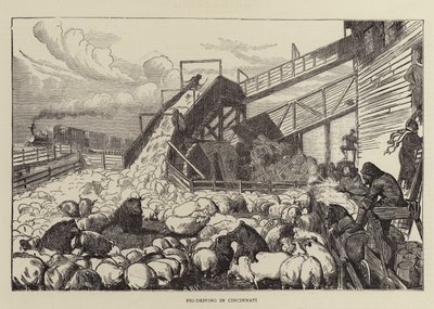 Sikojen ajo Cincinnatissa tekijältä Arthur Boyd Houghton