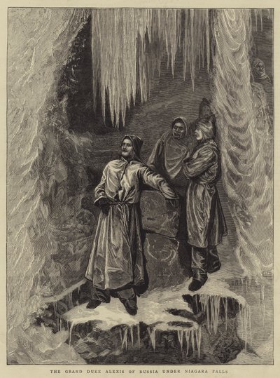 Venäjän suurherttua Alexis Niagaran putousten alla tekijältä Arthur Boyd Houghton