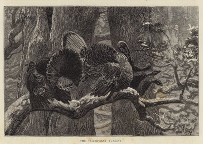 Voittoisat kalkkunat tekijältä Arthur Boyd Houghton