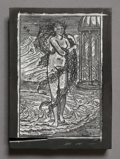 Tarina Cupidosta ja psyykestä - Venus, Edward Coley Burne-Jonesin mukaan (kaiverrettu puupalikka) tekijältä Arthur Burgess