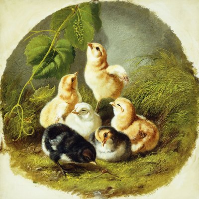 Chicks, 1863 tekijältä Arthur Fitzwilliam Tait