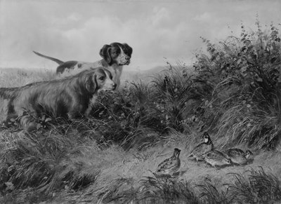 On Point, 1874. tekijältä Arthur Fitzwilliam Tait