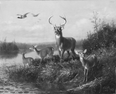 On the Qui Vive, Buck and Three Does, 1871. tekijältä Arthur Fitzwilliam Tait