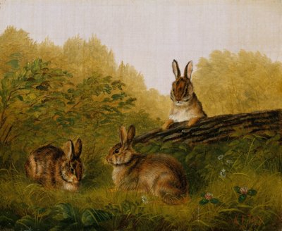 Kanit puun päällä, 1897. tekijältä Arthur Fitzwilliam Tait