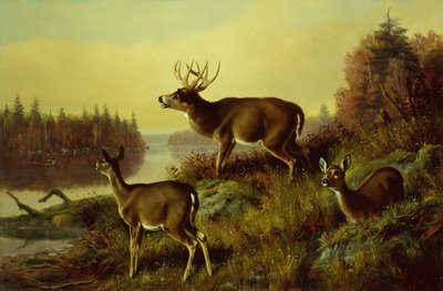 Haaste tekijältä Arthur Fitzwilliam Tait