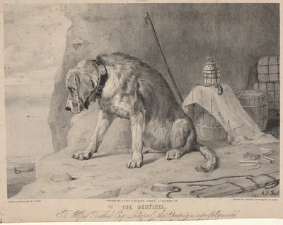 Vahti tekijältä Arthur Fitzwilliam Tait