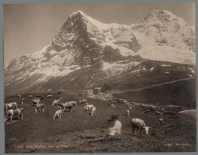 Lehmät Kleine Scheideggillä Bernin Oberlandissa, taustalla Eiger ja Mönch Kleine Scheidegg, Eiger und Moench (otsikko esineessä) tekijältä Arthur Gabler