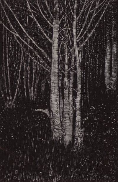Keskiyö oli cum (litho) tekijältä Arthur George Watts