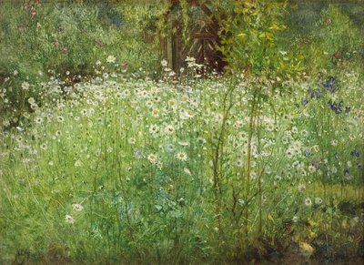 Oxeye Daisies and Irises, 1920 tekijältä Arthur Hacker