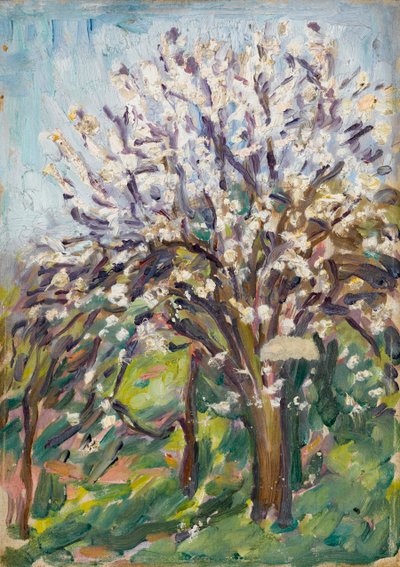 Mantelinkukka rinteessä, n.1910. tekijältä Arthur Haythorne Studd