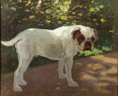 Bulldog puutarhapolulla (öljy kankaalle) tekijältä Arthur Heyer