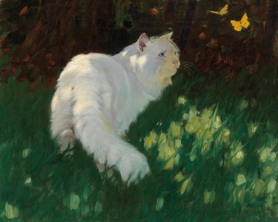 Valkoinen kissa ja perhoset tekijältä Arthur Heyer