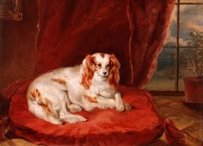 Cavalier King Charles -spanieli makaa punaisella tyynyllä tekijältä Arthur J. Stark