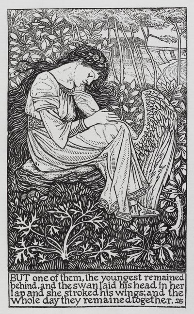 Hans Christian Andersen: Villit joutsenet (litho) tekijältä Arthur Joseph Gaskin