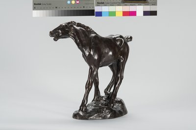 Colt (pronssi) tekijältä Arthur Putnam