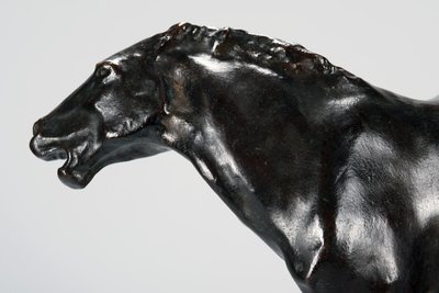Colt (pronssi) tekijältä Arthur Putnam