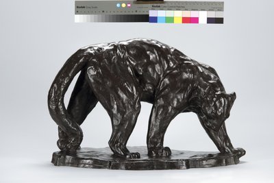 Suuri Puma Smeling Ox Track tekijältä Arthur Putnam