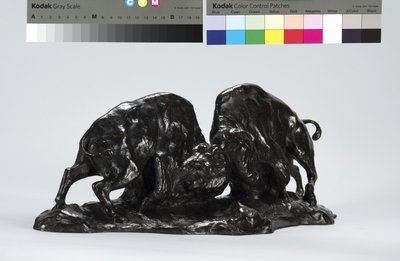 Kaksi Taistelevaa Buffaloa tekijältä Arthur Putnam
