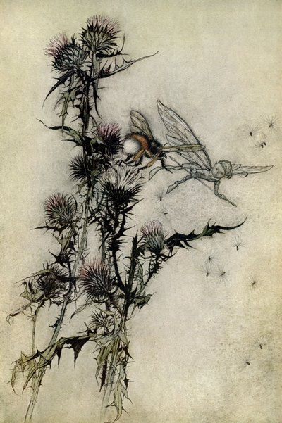 Juhannusyön unelma tekijältä Arthur Rackham