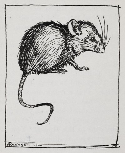 Hiiri tekijältä Arthur Rackham