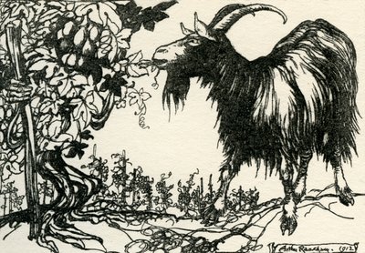 Aisopoksen tarinat tekijältä Arthur Rackham