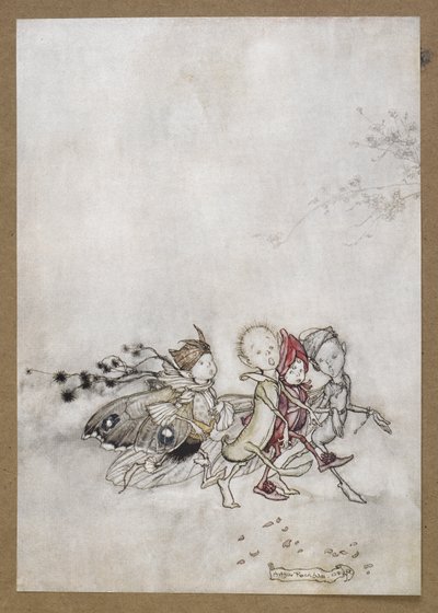 Anna hernekukka, hämähäkinverkko, koi ja sinapinsiemen. Kohtaus Kesäyön unelmasta. tekijältä Arthur Rackham