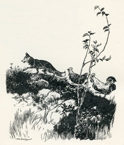 Henny-Penny tekijältä Arthur Rackham