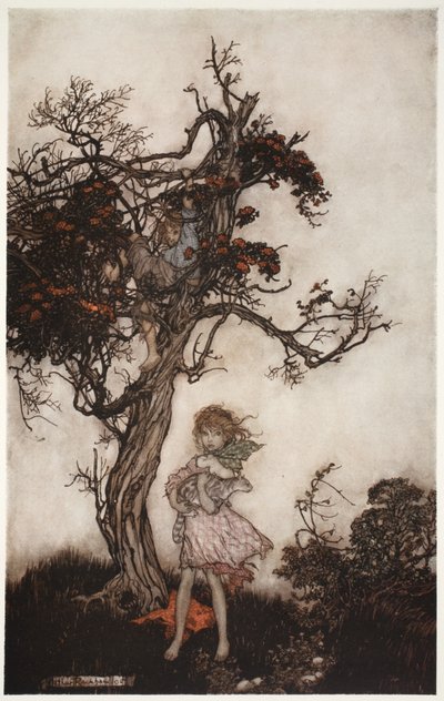 Hänen lapsensa olivat yhtä räjähdysmäisiä ja villejä kuin he eivät kuuluneet kenellekään. Washington Irvingin pubista Rip Van Winkle. 1910 tekijältä Arthur Rackham