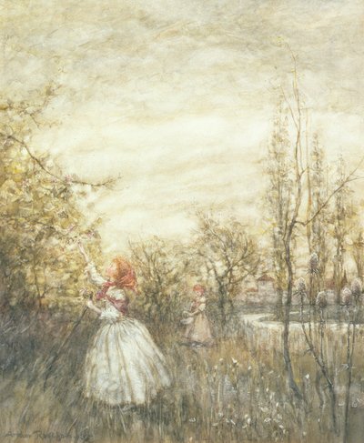 Kuusama, 1905 (wc korotettu valkoisella ja pysähdyksillä paperille) tekijältä Arthur Rackham
