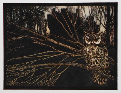 Jorindan ja Joringelin kuvitus kirppuvasta pöllöstä. tekijältä Arthur Rackham