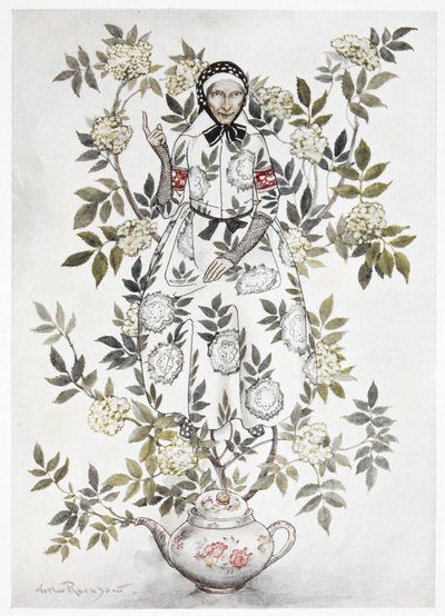Puun keskellä istui ystävällisen näköinen nainen. Suuri kasvi, joka kasvaa teekannusta. Vanha nainen oksien keskellä. Värillinen kuvitus sanalle "Elder-tree äiti". tekijältä Arthur Rackham