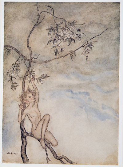 Merrily, merrily shall I live now under the blossom that hangs on the bough, kuvitus teoksesta William Shakespeares Myrsky, pub. 1926 tekijältä Arthur Rackham
