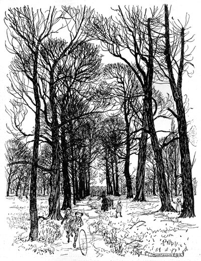 Peter Pan Kensington Gardensissa tekijältä Arthur Rackham