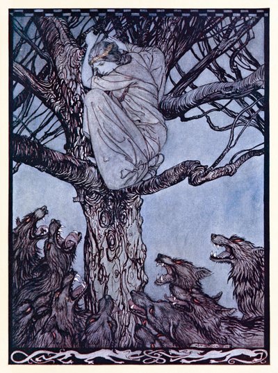 Hän katseli vihaisena surun silmin alla olevaa kireää ja räkivää laumaa. from The Wooing of Becfola in Irish Fairy Tales (Irlantilaiset sadut). tekijältä Arthur Rackham