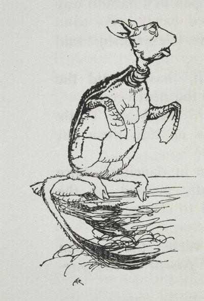 Pilkikilpikonna tekijältä Arthur Rackham