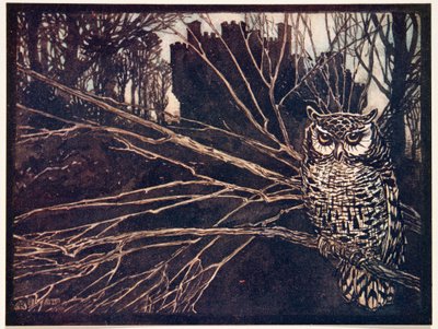 ? or a screech owl..., Grimmin veljesten saduista, pub. 1909 tekijältä Arthur Rackham