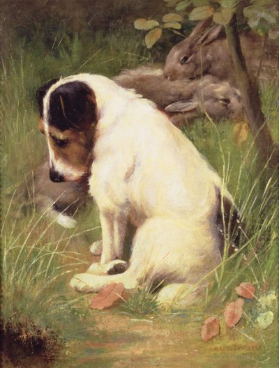 Kovan metsästyspäivän jälkeen tekijältä Arthur Wardle