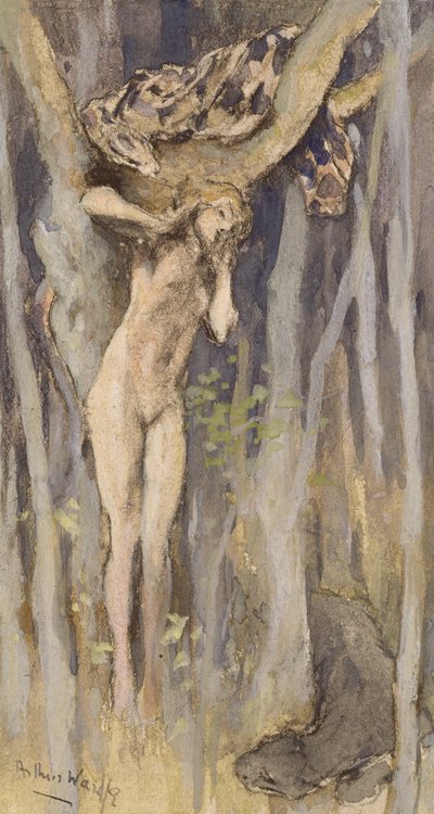 Hamadryad - Spirit of a Tree, n. 1890 (pastelli, kynä ja akvarelli paperille) tekijältä Arthur Wardle