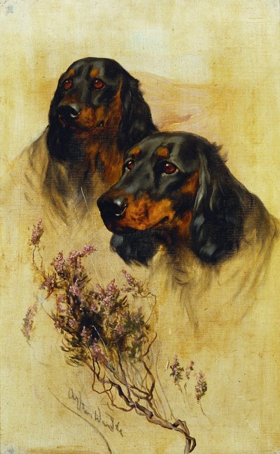 Kaksi Gordon-setteriä (öljy kankaalle) tekijältä Arthur Wardle