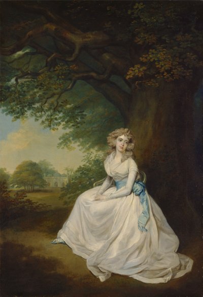 Lady Chambers tekijältä Arthur William Devis