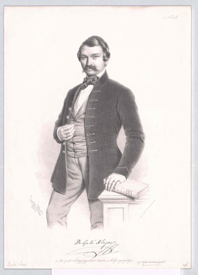 Alajos Szabo tekijältä Artist Unknown