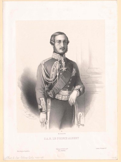 Albert, Englannin prinssi ja puoliso Saksin herttua Saksi-Coburg-Götan prinssi tekijältä Artist Unknown