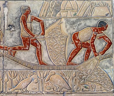 Egyptin taide: kalastus uupumuksessa. College on samanlainen kuin Mastaba Mererukan. tekijältä Artist Unknown