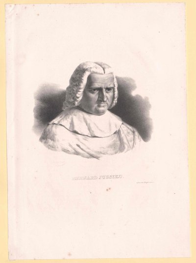 Bernard de Jussieu tekijältä Artist Unknown