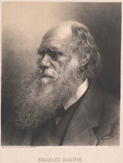 Charles Darwin tekijältä Artist Unknown