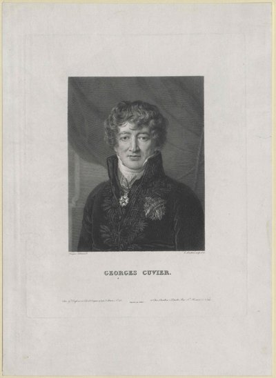 Georg Cuvier (painettu) tekijältä Artist Unknown