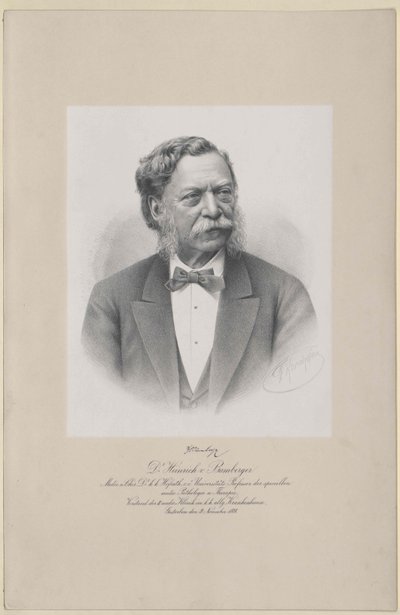 Bambergin Henrik (tulosta) tekijältä Artist Unknown