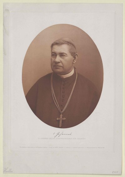 Johannes Haller (tulosta) tekijältä Artist Unknown